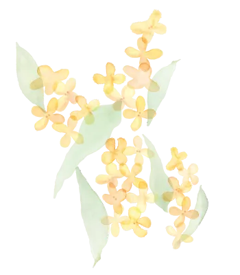 金木犀イラスト
