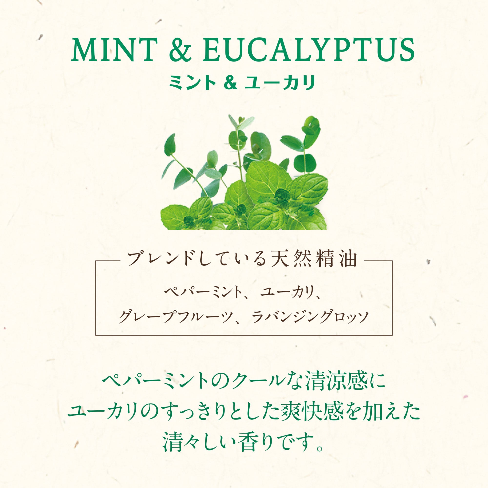 木と果 消臭クリップつけかえ用 ミント & ユーカリ | カーフレグランス